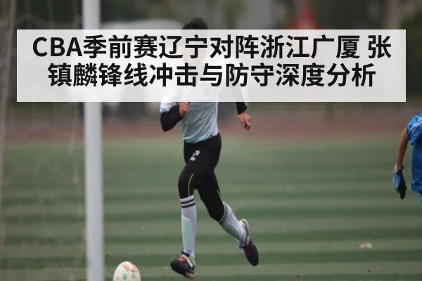 CBA季前赛辽宁对阵浙江广厦 张镇麟锋线冲击与防守深度分析